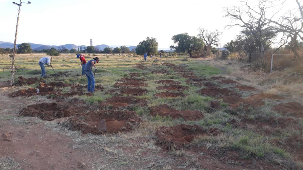 PRAMSEI - Proyectos: Programas de reforestación y reubicación