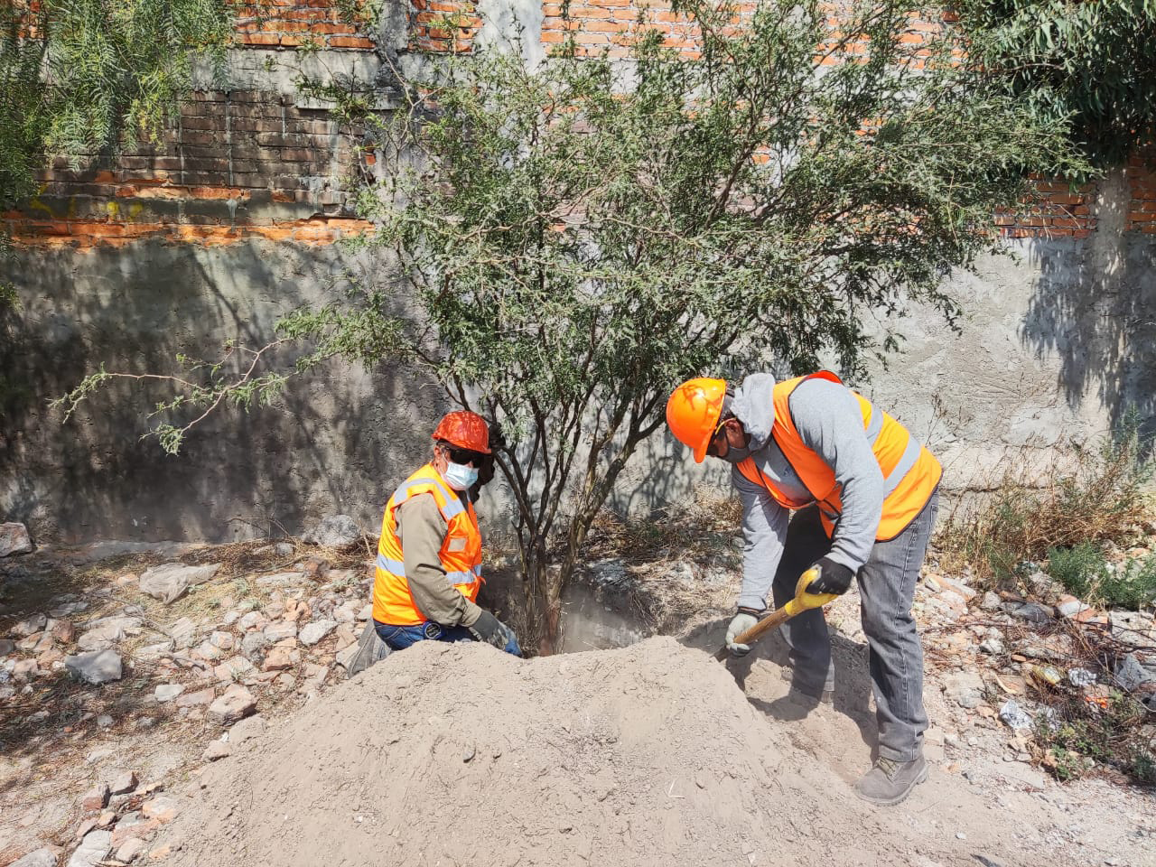 PRAMSEI - Proyectos: Programas de reforestación y reubicación