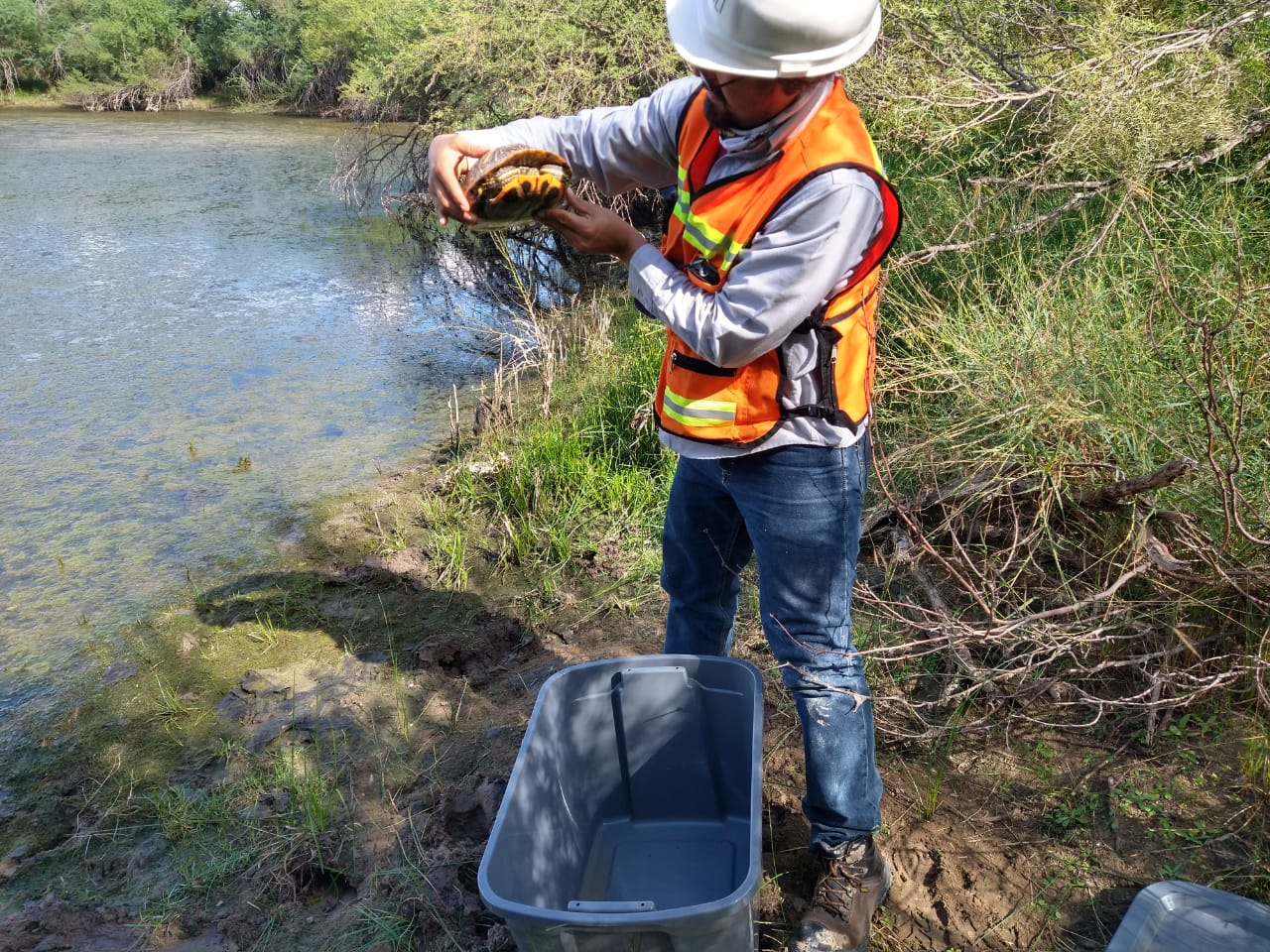 PRAMSEI - Medio Ambiente